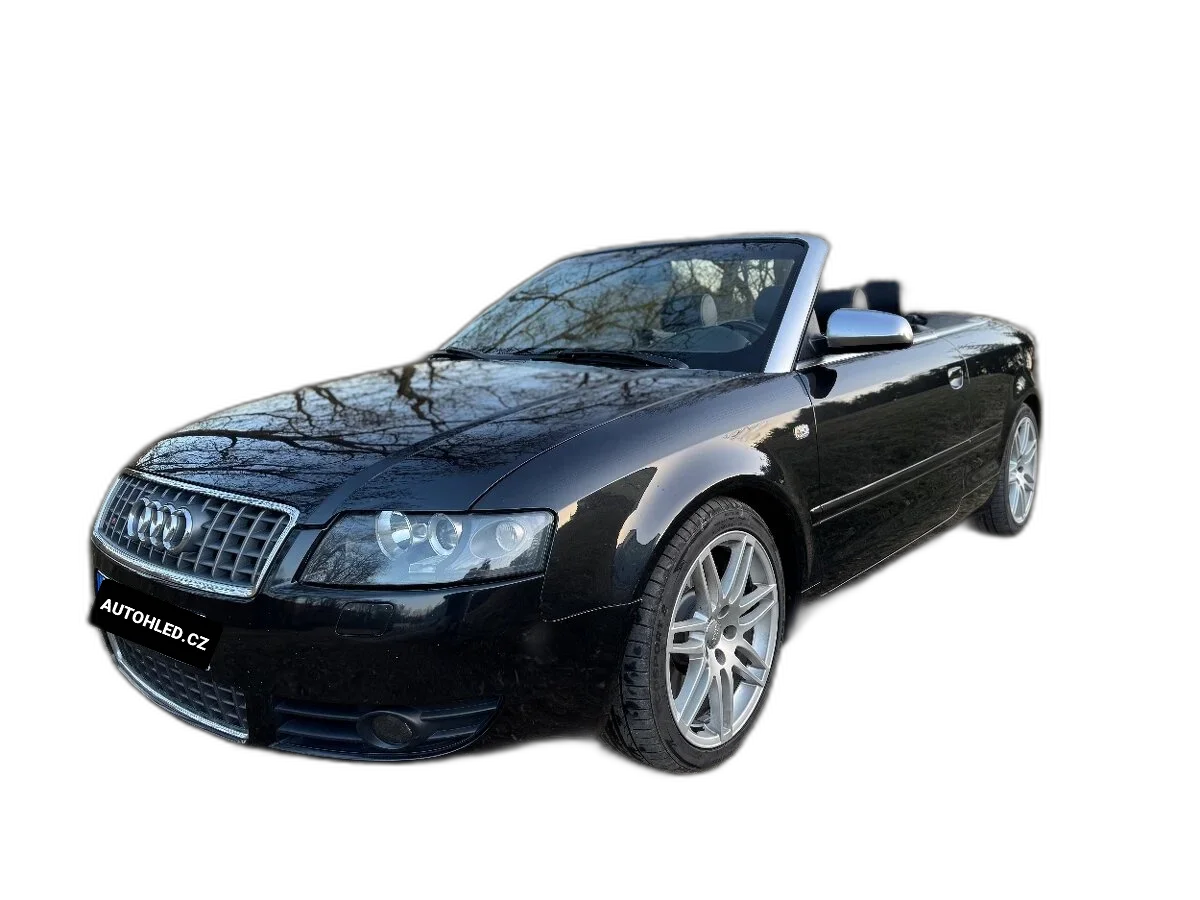 B6